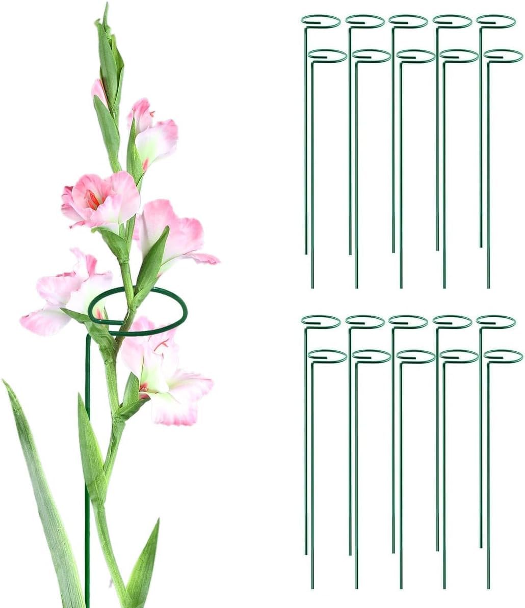 MTB Green 24inch Single Stem Plant Support Stakes Pack of 20, Flower Support Rings, Gardening Planter Cages for Single Stem Flowers,Amaryllis,Peony,Lily,Narcissus