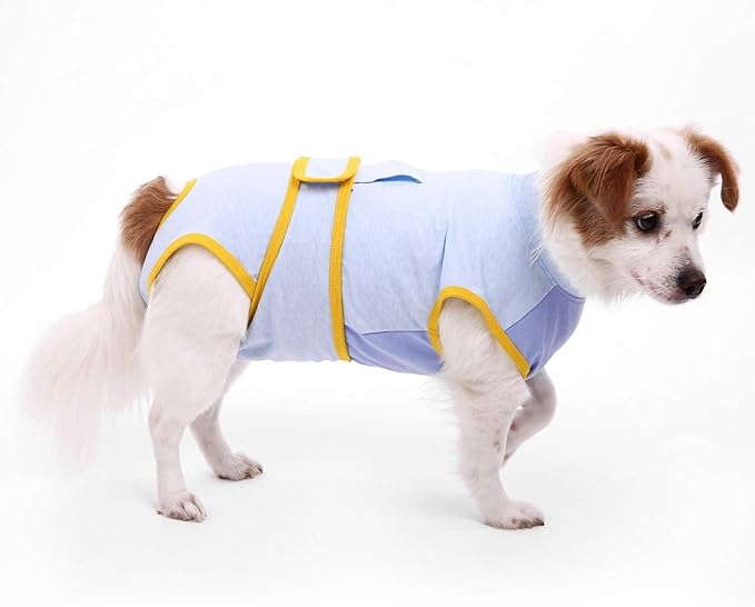 cone collar alternatives