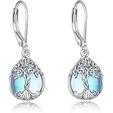 YFN 925 Sterling Silver Dangle Drop Earring Hypoallergenic Earring Jewelry Gift for Women Girls