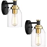 zeyu 2 Pack Modern Vanity Wall Sconces, Indoor Wall Lights for Bathroom Hallway Bedroom with Clear Glass Shade, Black and Gol