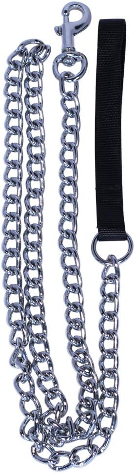 Pet Champion 5ft Chain Leash with Nylon Handle Easy Lead No Pull, Assorted Colors : Pet Supplies