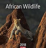 African Wildlife - Kalender 2018 by 