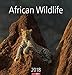 African Wildlife - Kalender 2018 by 