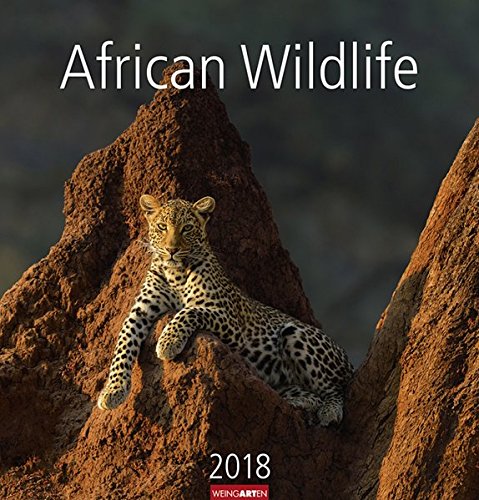 African Wildlife - Kalender 2018 by 