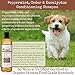 4Legger Organic Dog Shampoo and Conditioner USDA Certified - All Natural Concentrated Cedar Dog Shampoo with Peppermint, and Eucalyptus - Dog Shampoo for Itchy Skin - Dog Shampoo for Smelly Dogs 16 oz