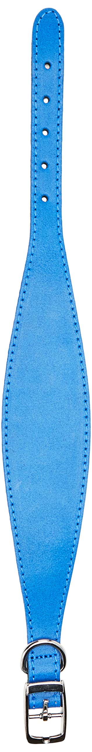 BBD Pet Products Whippet Collar, One Size, 3/4 x 12 to 14-Inch, Royal