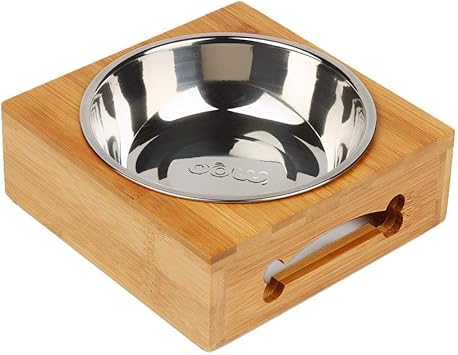 small dog feeding station