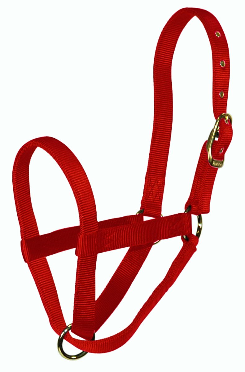 Hamilton Cow Turn Out Halter, Red