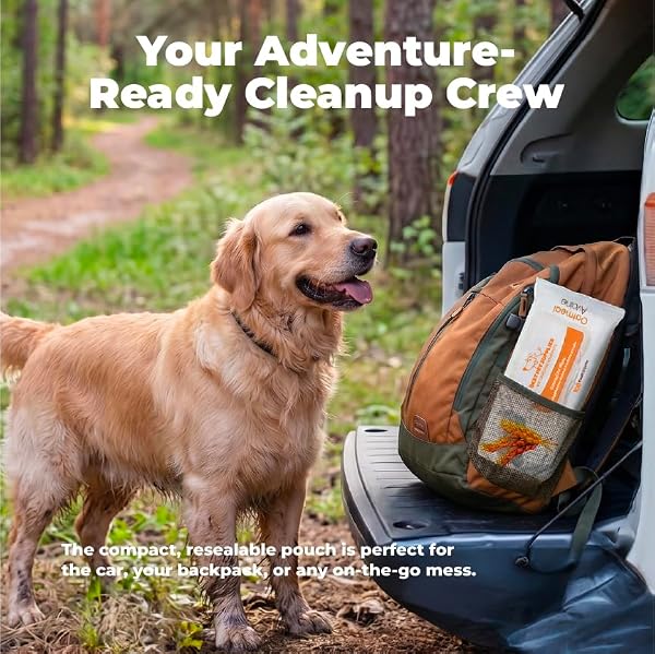 BEST PET SUPPLIES 8″ X 9″ LARGE UNSCENTED DOG WIPES – CLEANING AND DEODORIZING FOR PAWS AND COAT – GENTLE FORMULA WITH OATMEAL VITAMIN E FOR PUPPIES AND CATS – 100 COUNT