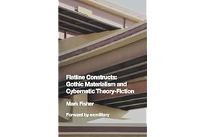 Flatline Constructs: Gothic Materialism and Cybernetic Theory-Fiction