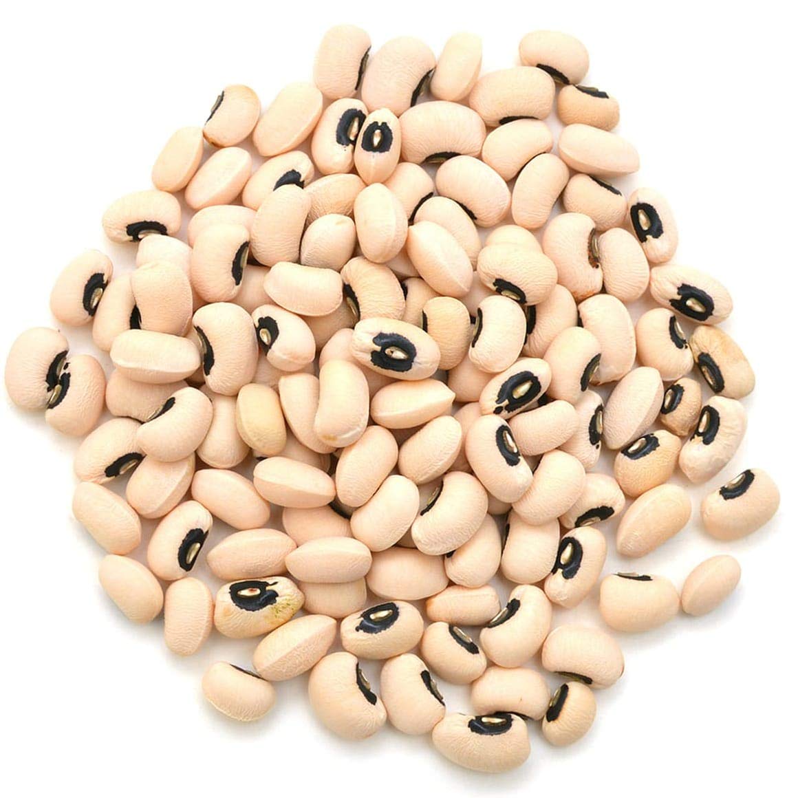 Organic Black-Eyed Peas, 25 Pounds - Raw Dried Cow Peas, Non-GMO, Kosher, Bulk Beans, Product of the USA