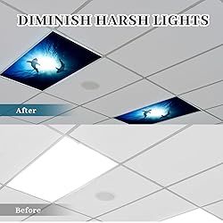 Patelai 4 x 2 Feet Fluorescent Light Cover for