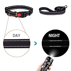 Reflective Dog Collar and Leash Set with Safety