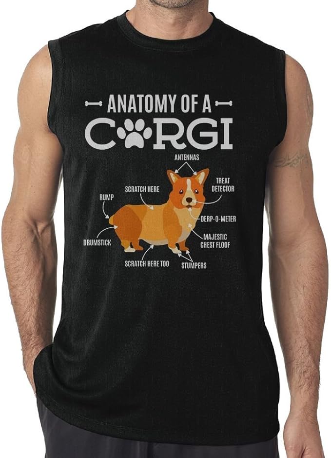 Amazon.com: Anatomy of A Corgi Men's Sleeveless Muscle Shirt Tank Top