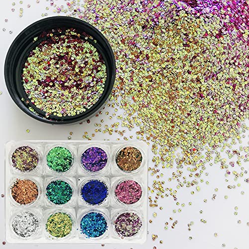 12 Colors Set Embossing Color Shifting Series Hexagon Chunky Shape Sequins Glitter Festival Rave Beauty Makeup Face Body Nail Art Decoration YW-BSL (12 Colors Set)