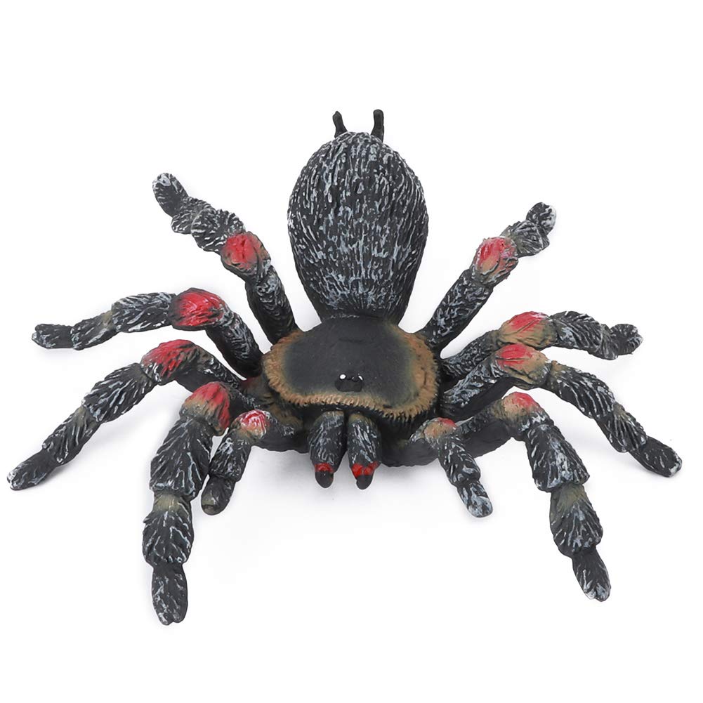 Fake Spider, Halloween Spider, Praktische Fake Spiders für Office Home(PL127845) Amazon.de Baby