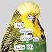 I Hate Everyone, Except You by