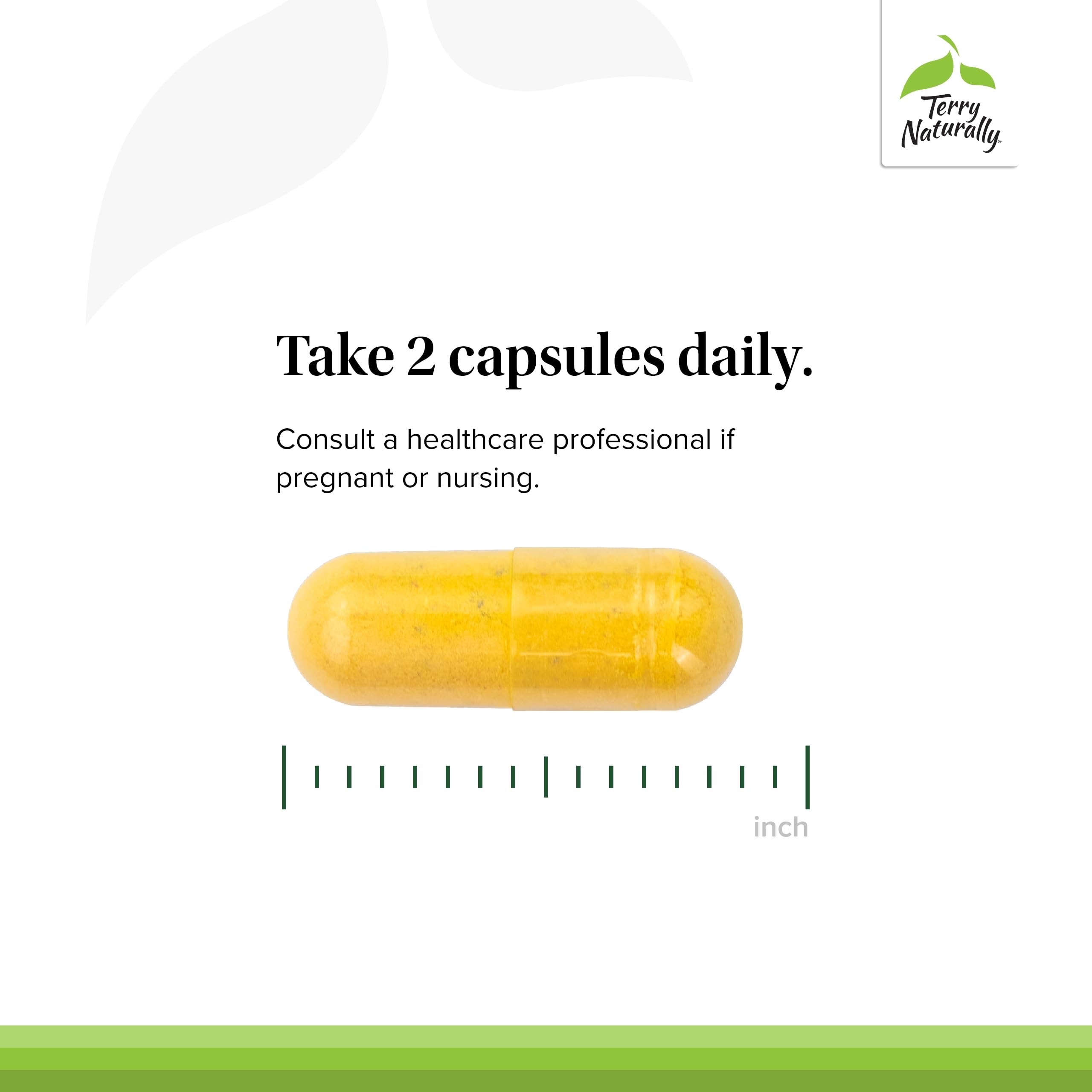 Terry Naturally Healthy Feet & Nerves - Herbal Supplement with Bioactive Vitamin B12 - Circulation & Nerve Health Support Supplement - Vegan Capsules with Boswellia Serrata - 60 Capsules