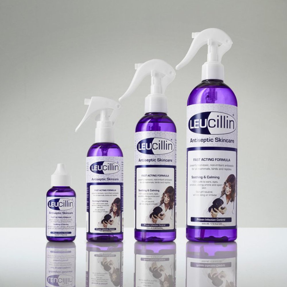 Leucillin Antiseptic Skin Care Spray, 250 ml Amazon.co.uk Pet Supplies