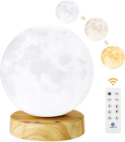 Tanlys Daylight Lamp 10000 Lux UV Free Moon Light Therapy Lamp 6000K 24W