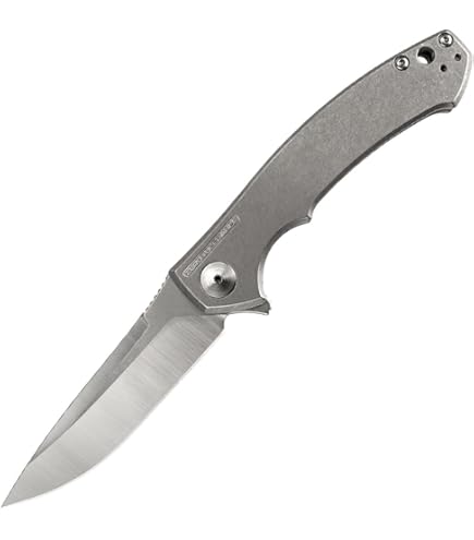 Wccfsteel最安値 ZT 0456CF Sprint Run - Flipper Knife | Carbon Fiber | Blade HQ