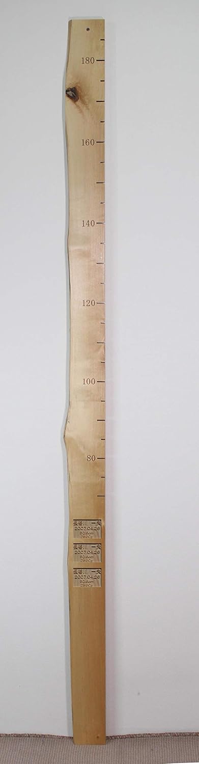 お子様の誕生と成長の喜びをいつまでも 組立式 出産祝い 名入れ３名分 身長計 温かみのある天然木 おしゃれな壁掛け身長計 B07hrkhc2k 名入れ３名分 名入れ用品 日本に