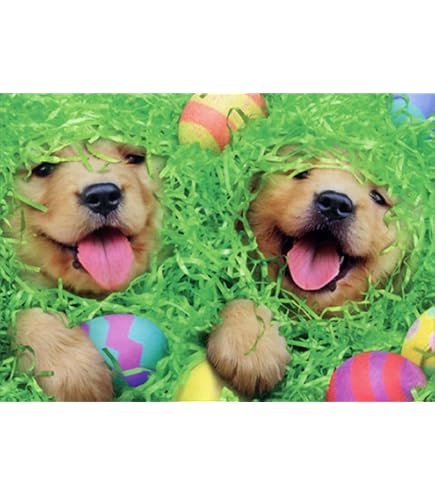 thumbnail image 2 of Duckling Bunny Funny Easter Card – Avanti Press, Includes Envelope, 700454 2 of 2