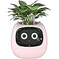 Masdio Smart Flowerpots, with Artificial Intelligence, Time Temperature Display, and Numerous Expressive Animations Based On The Environment, for Indoor Decoration, Gifts(Pink)