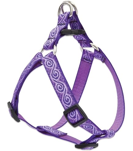 LupinePet Rain Song Laisse pour chien avec poignée rembourrée 1,27 cm x 1,2 m