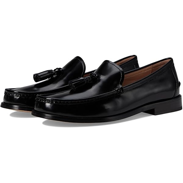 Amazon.com | Cole Haan Women's Stassi Embellished Loafer