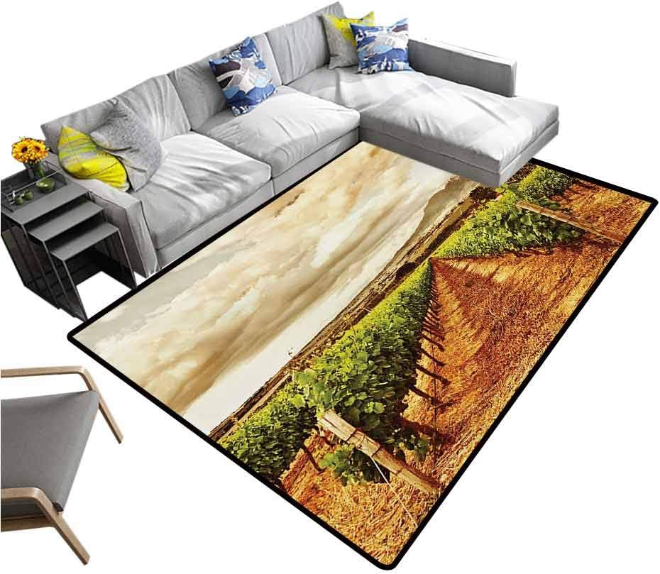 Country Floor Mat Grape Valley Clouds Over Vineyard Fruit Plantation Digital Print for Kitchen Rugs Burnt Orange Green Off White (5'x7')