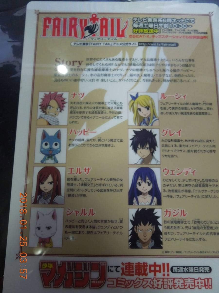 Amazon Co Jp Fairy Tail フェアリーテイル 下敷き 真島ヒロ ホビー