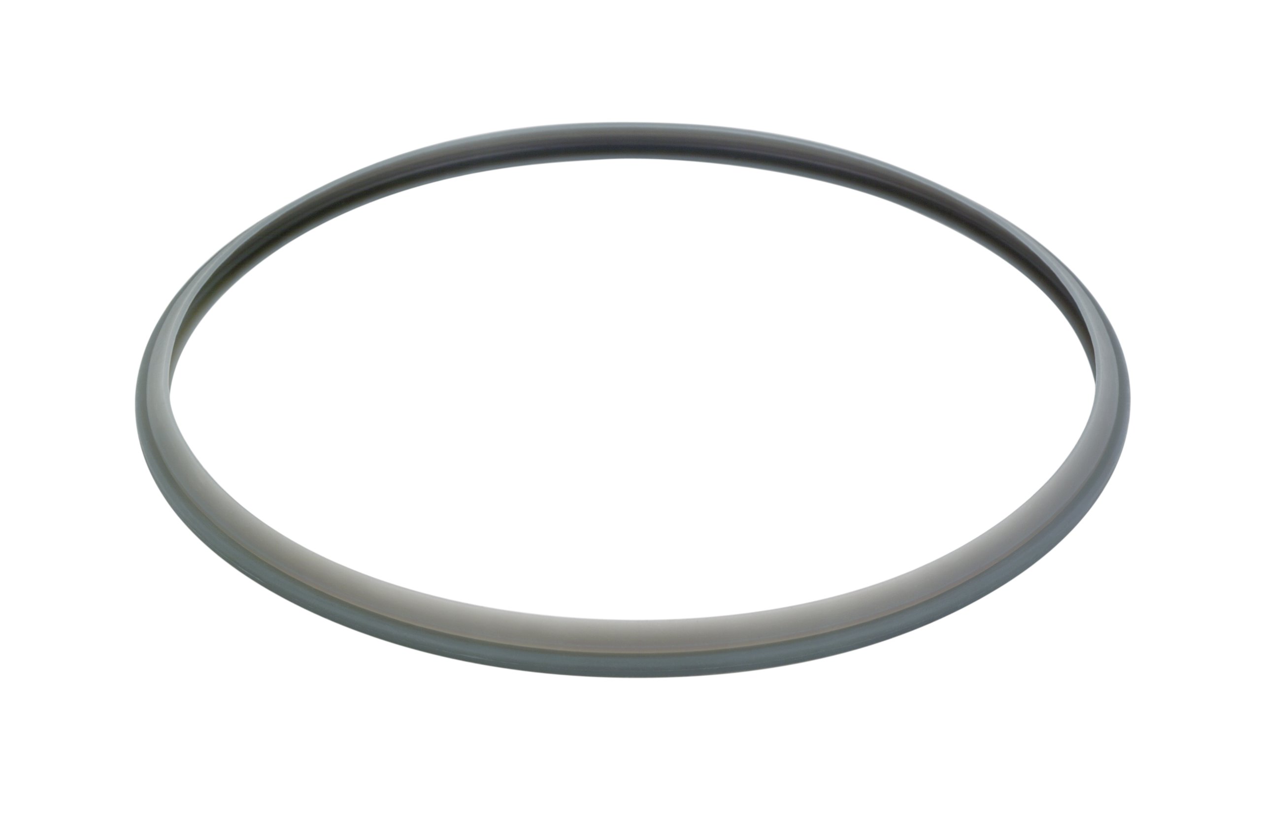 GSW Stahlwaren GmbH Rubber Ring for Pressure Cooker, Black, 22 cm
