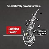 Alpecin Grey Attack Caffeine Shampoo 200ml for Men - Darker Natural Colour view 6