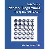 Beej's Guide to Network Programming: Using Internet Sockets