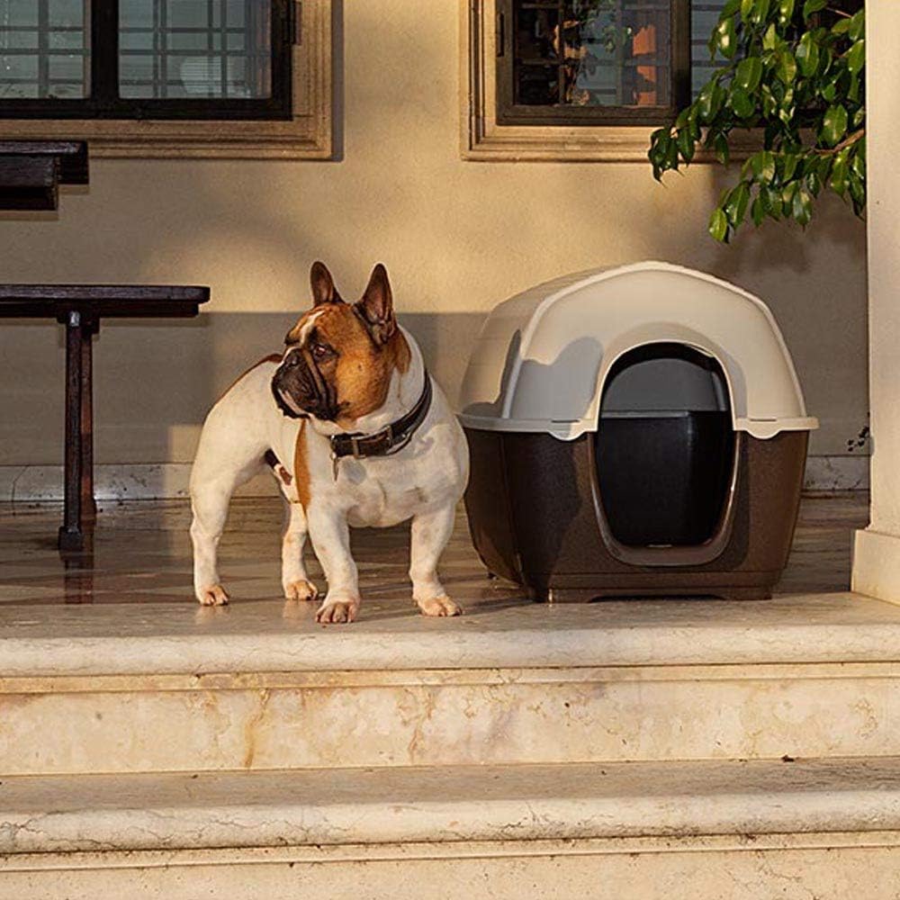 Ferplast Outdoor Dog Kennel Kenny 01 Dog House Made of Impact and UV-Resistant thermoplastic Resin, Liquid Drain System - Image 4