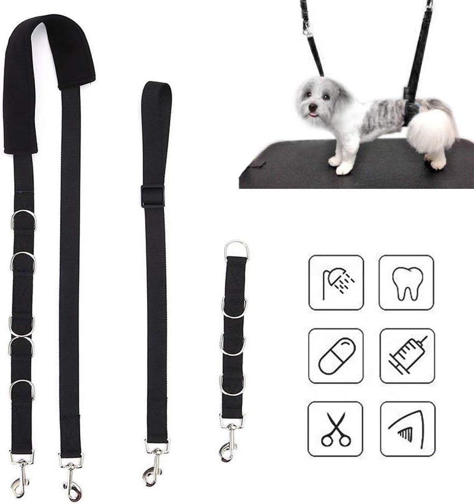 Best Dog Grooming Table With Belly Bar