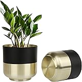 Vixdonos Plant Pots Indoor,6/5.2 inch Metal Planter Flower Pots,Pack 2 Plant Containers with Black and Gold Details for Garde