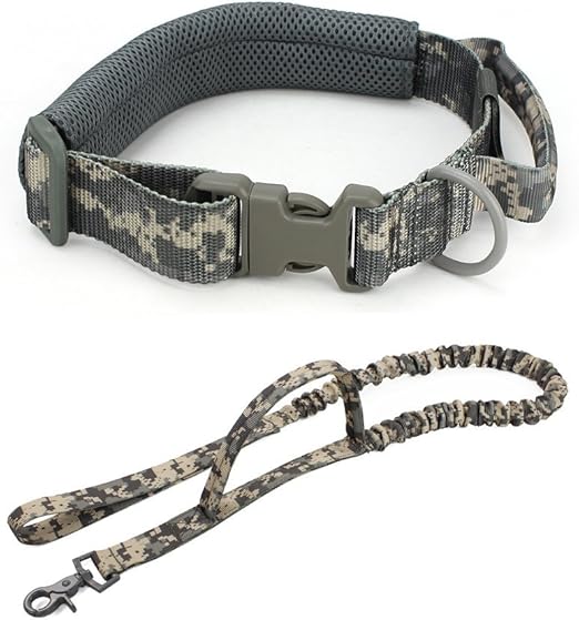 stretchable dog leash