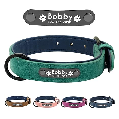 Didog Hundehalsband, weiches, gepolstertes, Leder, mit personalisierbarem, graviertem Namensschild, D-Ring. Für kleine und mi
