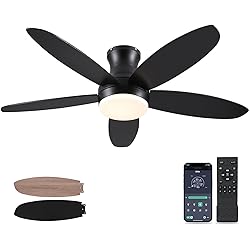 BYKISTOK 48 Inch Ceiling Fan with Light, Black