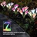 Weepong Flower Solar Lights Outdoor - 3 Pack Waterproof Solar Garden Lights with 12 Bigger Lily Flowers, Color-Changing Outdoor Lights for Patio, Back Yard, Garden, Lawn, Pathway(White, Purple, Red)