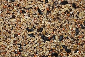 FutterXL 25kg Streufutter, Sommerstreufutter Vogelfutter