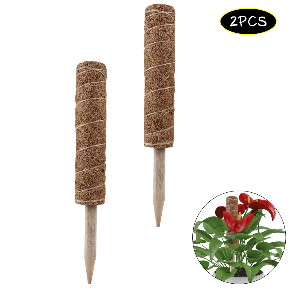 Warooma - Bastón de tótem de Fibra de Coco apilable para Plantas ...