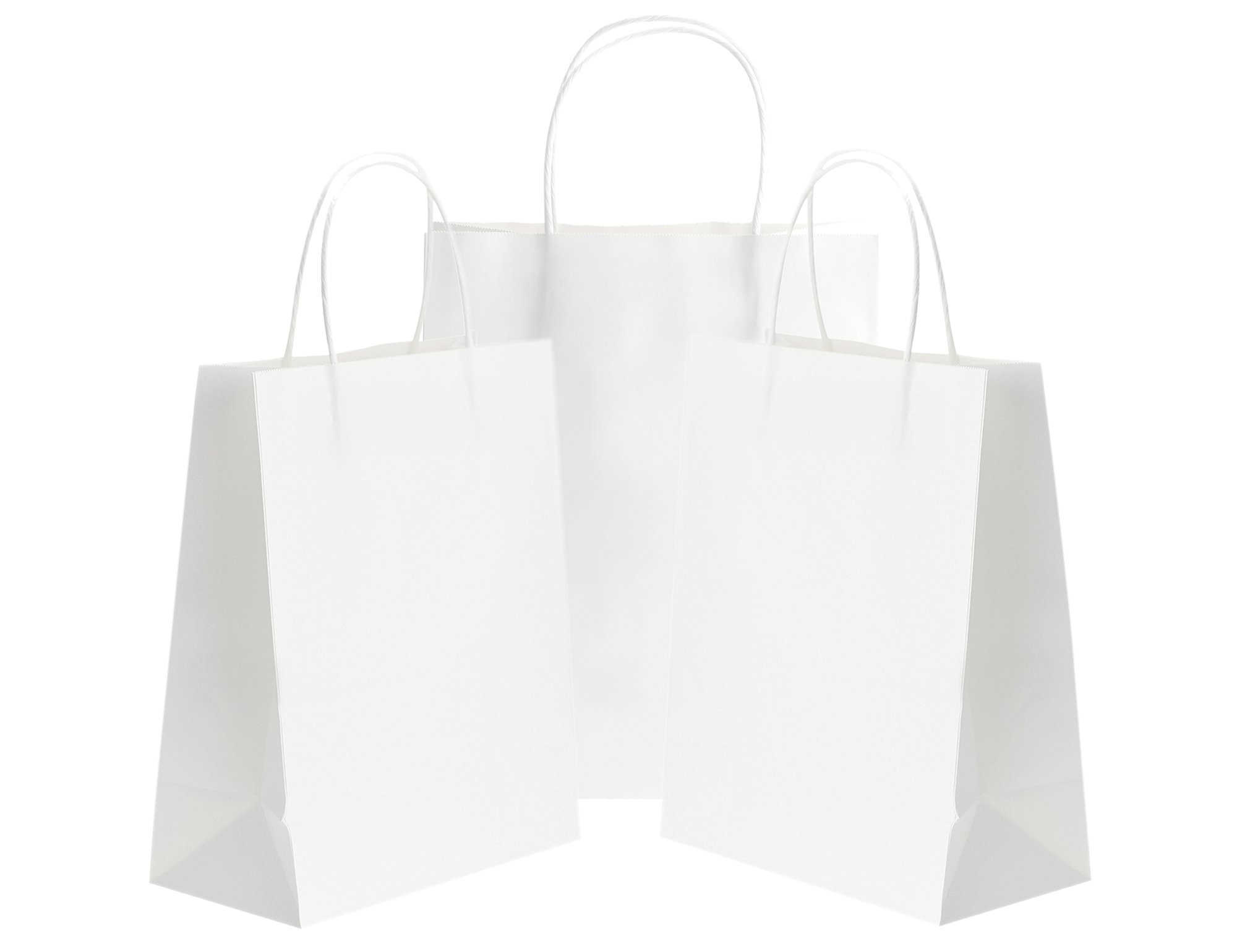 Pack of 24 Small White Kraft Paper Carrier Bags with Reinforced Twisted Handles (15 x 8 x 21cm / 5.9’’ x 3.1’’ x 8.3’’) -FiveSeasonStuff