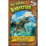 Produkt-Information