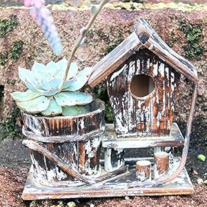 SXWDLHB Fatto A Mano in Legno Bird House Solid Succulente Vaso di Fiori in Vaso Creativo Birdhouse 25 * 12 * 22cm