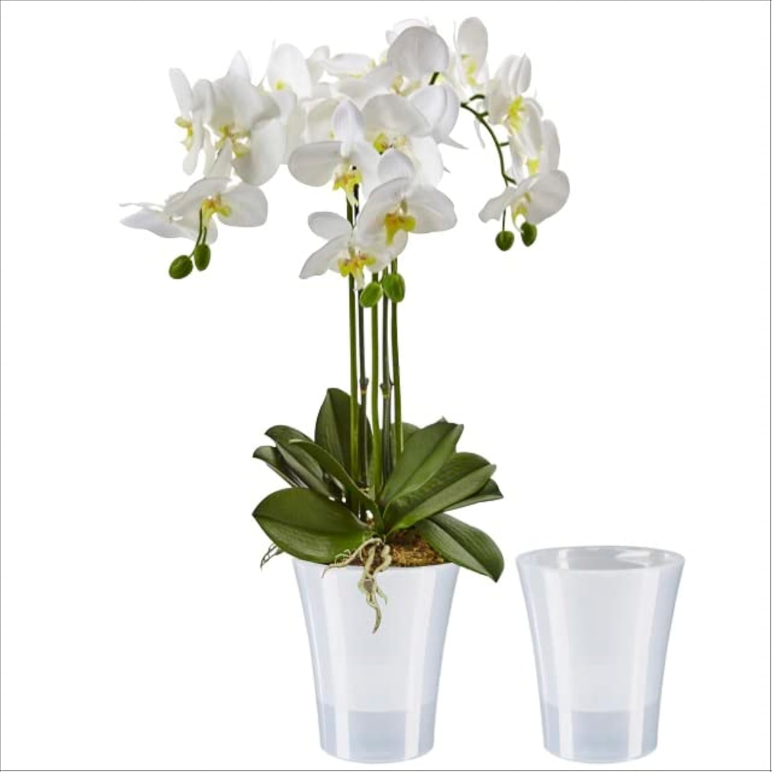 Santino Set of 2 Transparent Orchid Plant Pots with Self-Watering Wick System, Diameter 15 cm, Transparent, 2 Litres