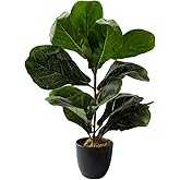 Royal Imports Artificial Fiddle Leaf Plant, Life-Like Ficus Faux Fig Tree, Dark Green in Decorative Planter - 21" Tall