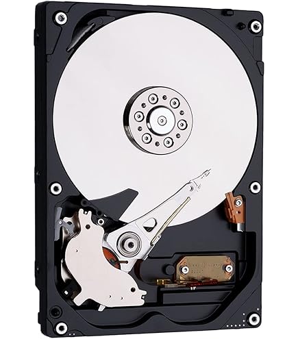 Amazon.com: Hiseeu 1TB Surveillance Internal Hard Drive HDD SATA